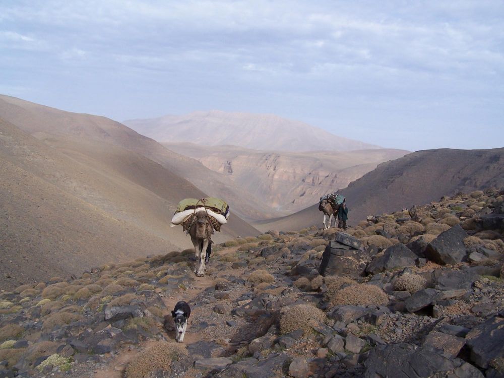 Photo voyage Maroc 8