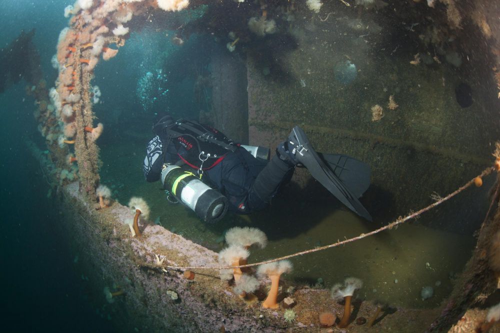 Voyage plongée Terres oubliées à Terre-Neuve