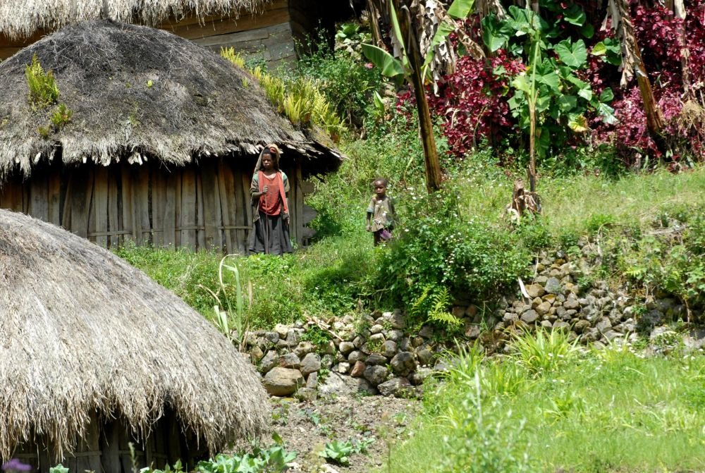 Papouasie, Village Vallée de la Balième