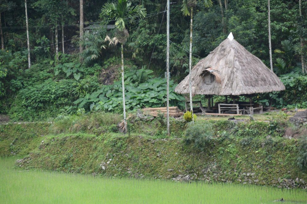 voyage Philippines - architecture Ifugao