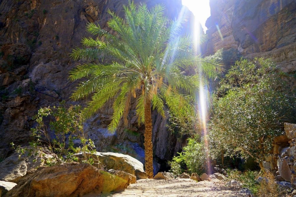 Photo voyage Oman 7