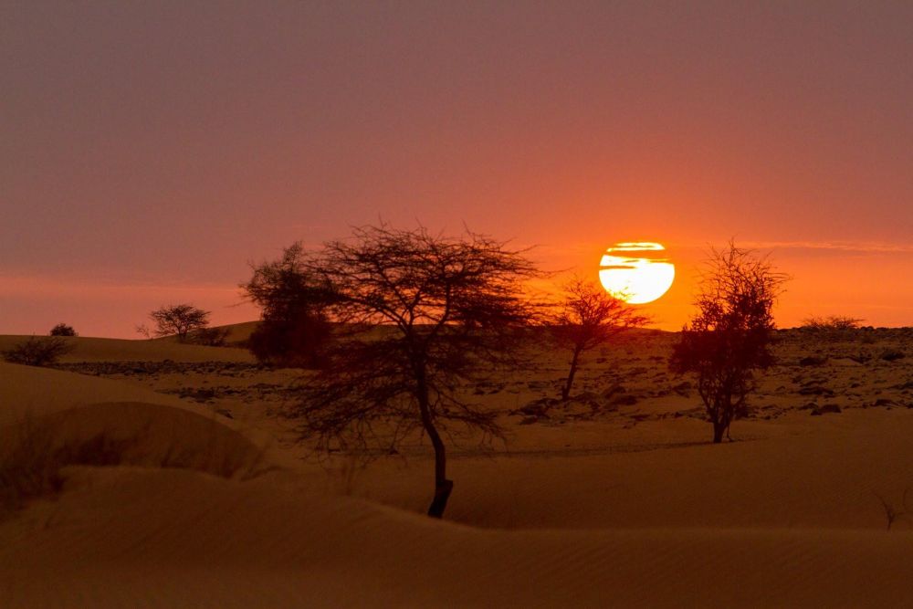 Mauritanie Chinguetti à Tergit