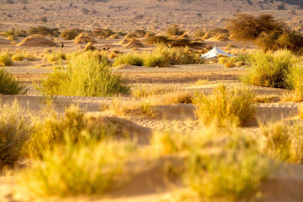 Mauritanie Chinguetti à Tergit