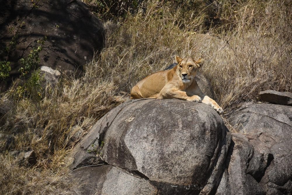 Photo voyage Tanzanie 15