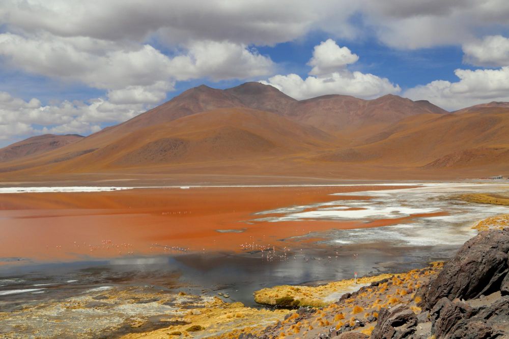 Laguna Colorada, Bolivie