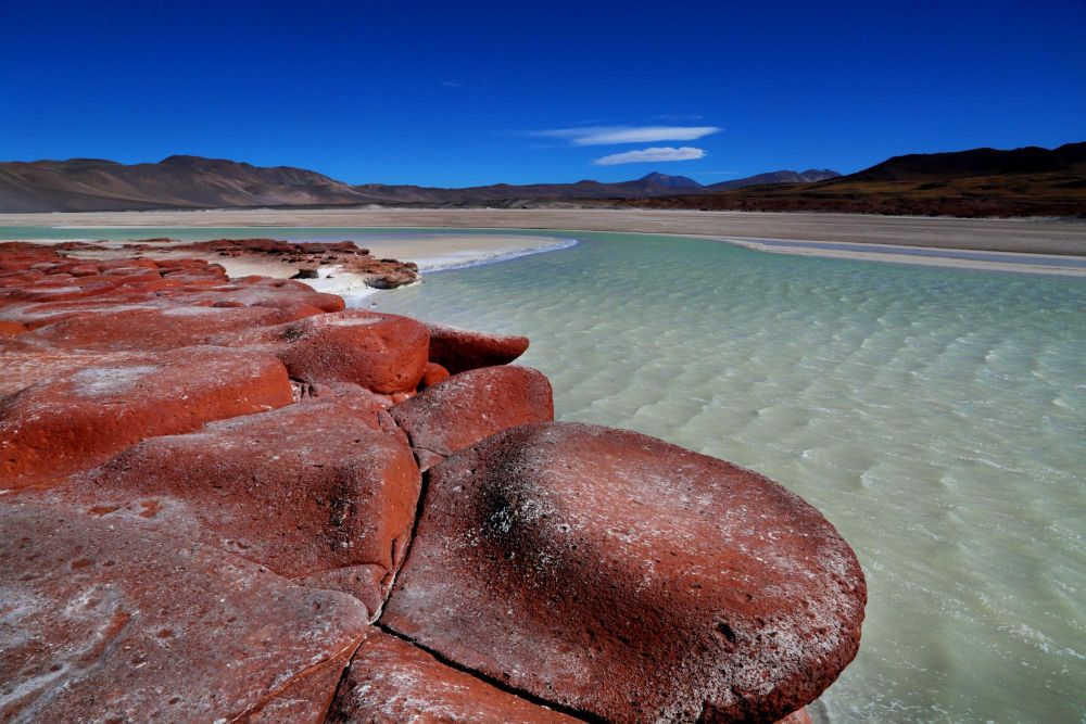 Compressions calcaires rouges sur les rive d'une lagune altiplanique