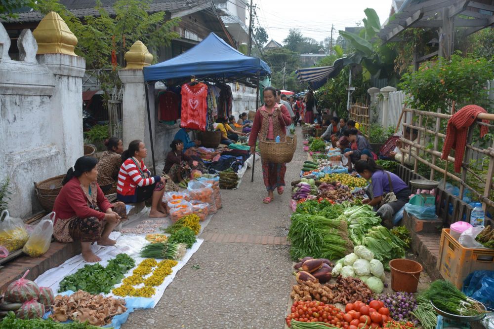 Photo voyage Laos 1