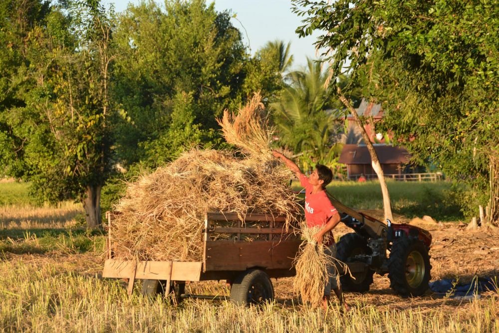 Photo voyage Laos 8