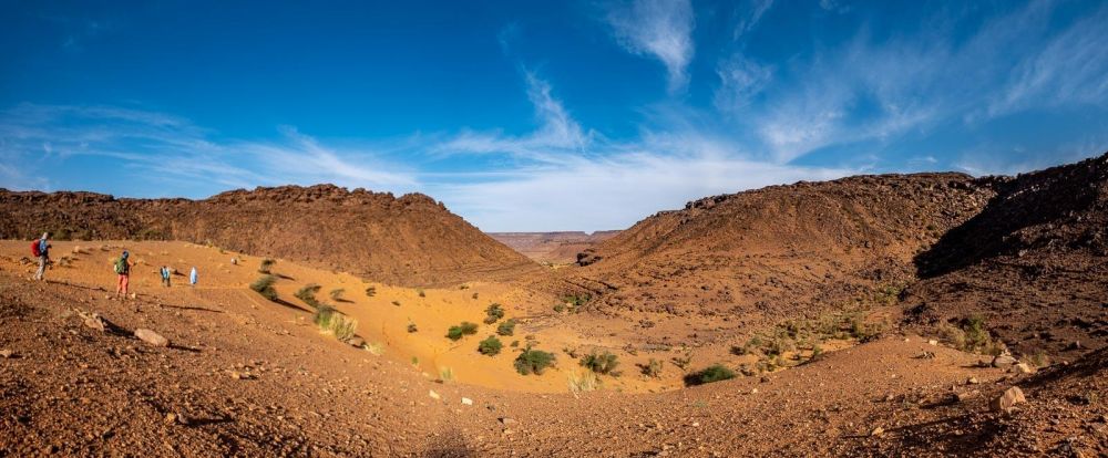 Dunes, Oasis et palmeraie