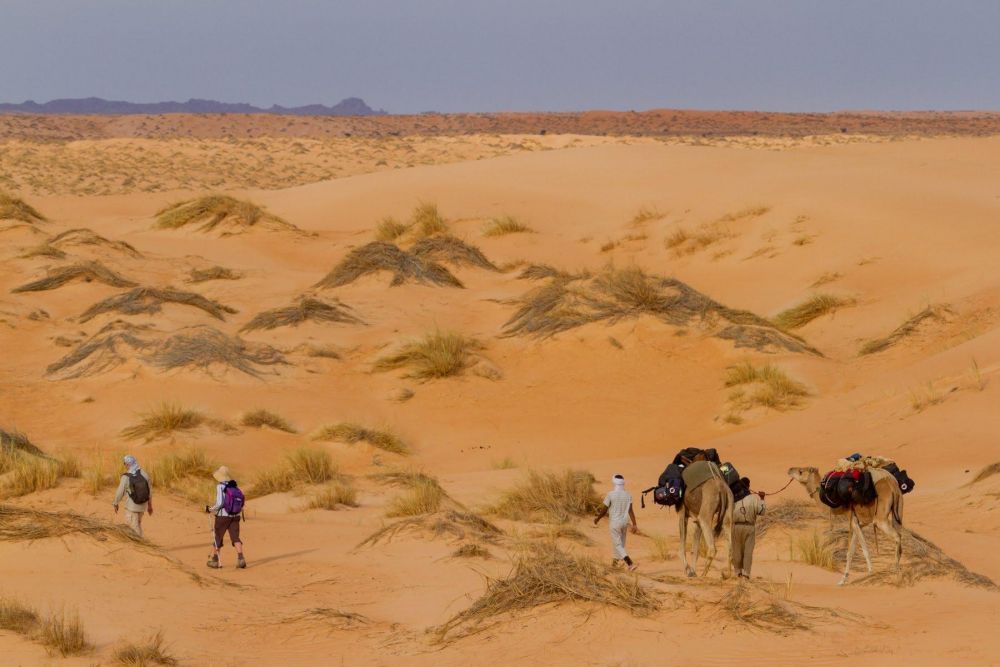 Randonnée au coeur des dunes