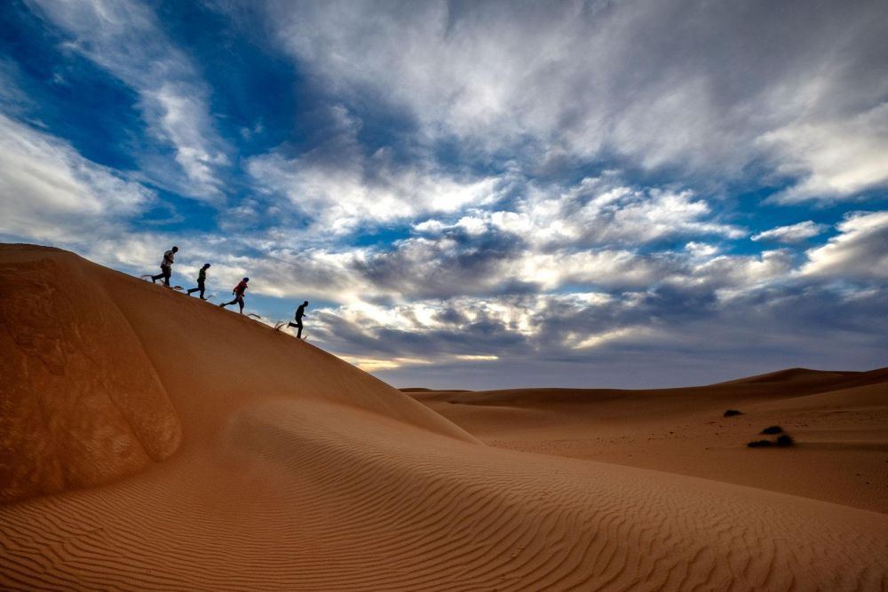 Sur la crête des dunes