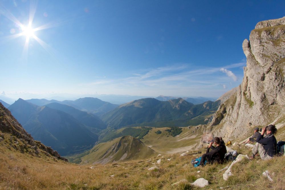 Recherche des loups aux jumelles sur les crêtes du Dévoluy