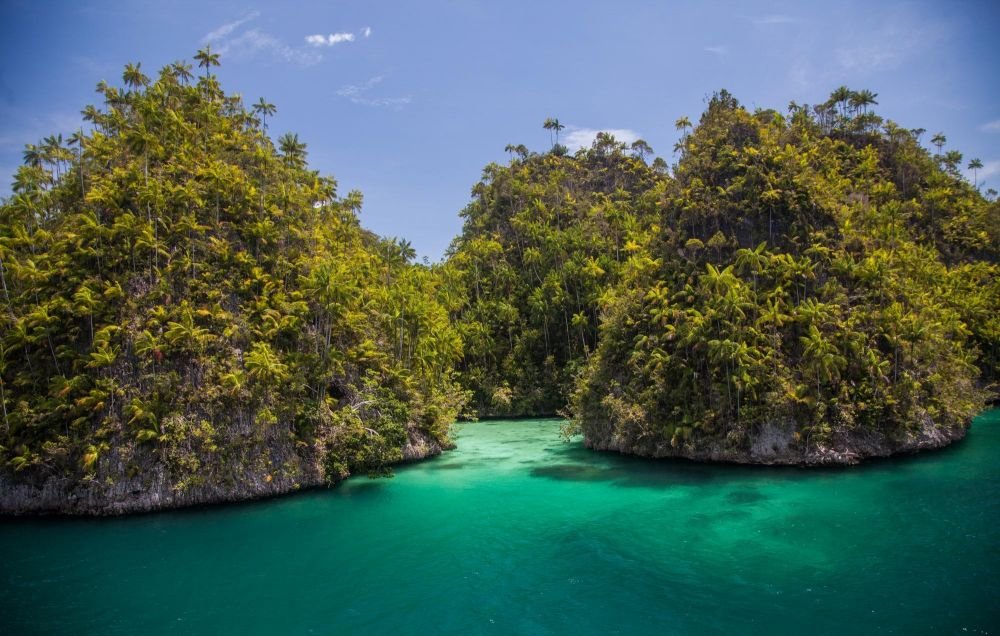 Paapouasie, îlots karstiques des Raja Ampat