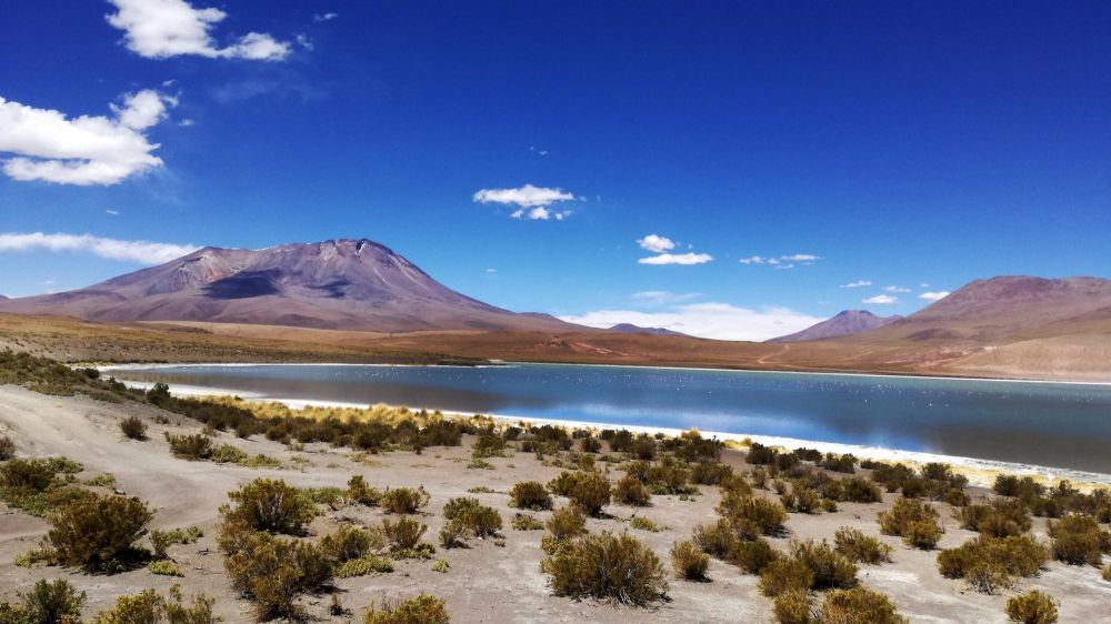 Lagune de l'Altiplano, Bolivie