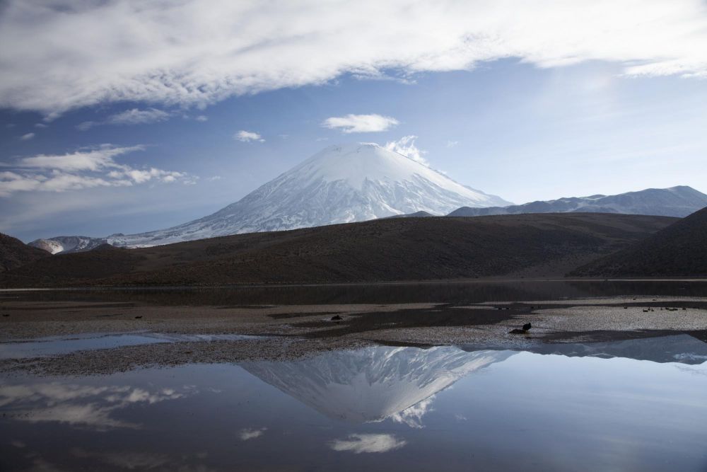 Volcan Parinacota, réserve de Lauca, Chili