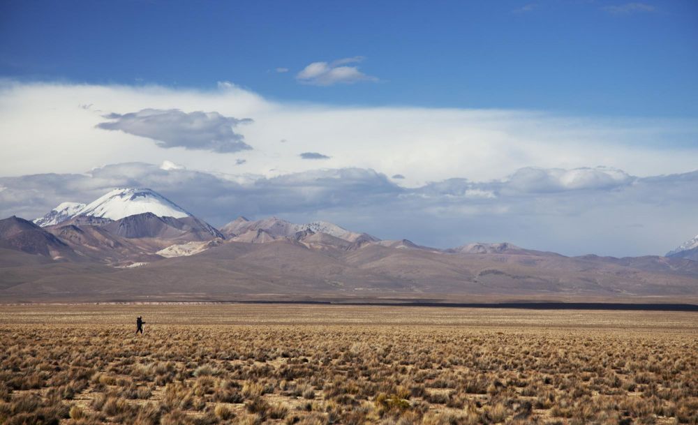 Randonnée sur l'Altiplano chilien, Réserve de Lauca, Chili