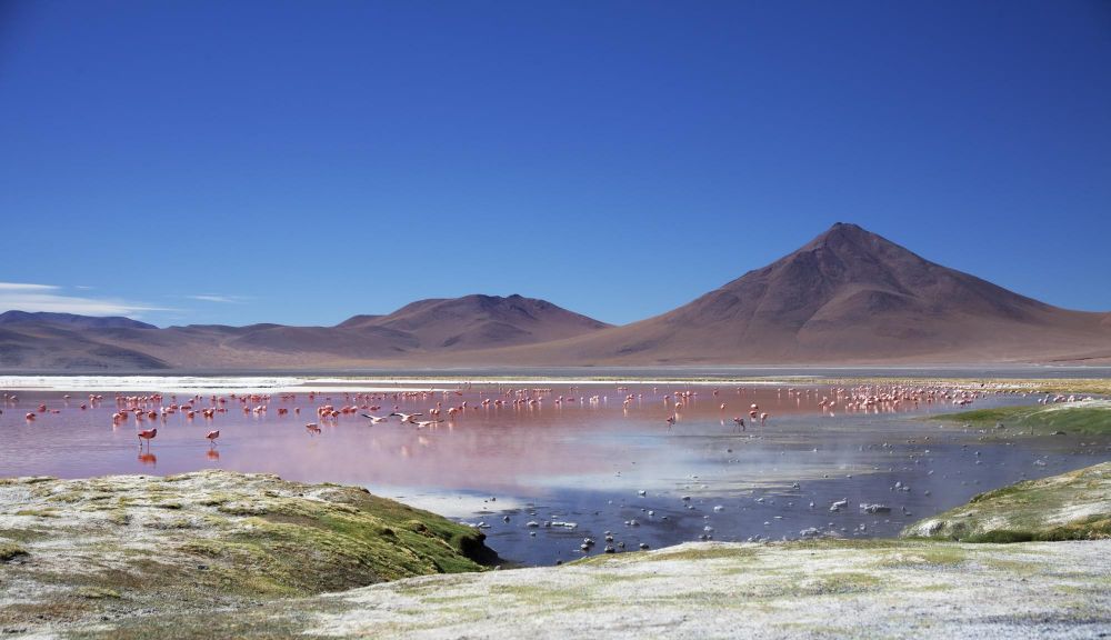 Laguna Colorada, Bolivie