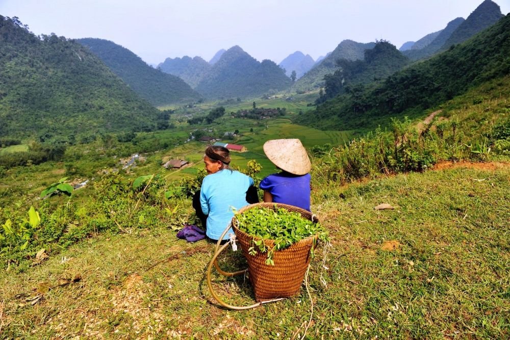 femme assisent face au paysage