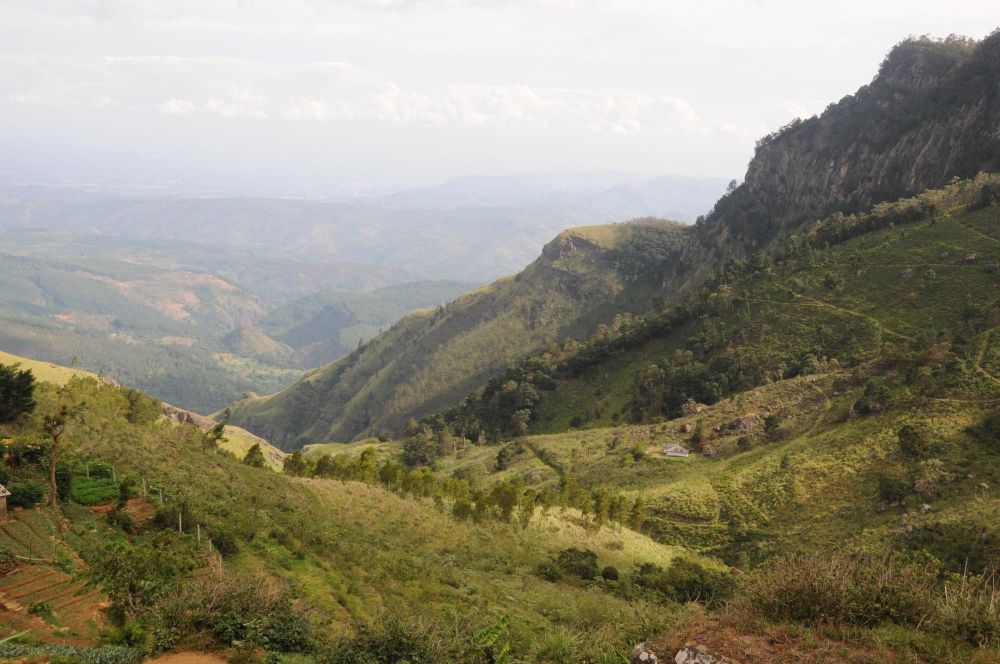 panorama sri lankais