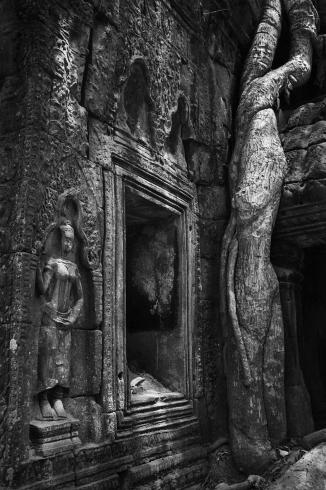 Temple oublié dans la jungle au Cambodge