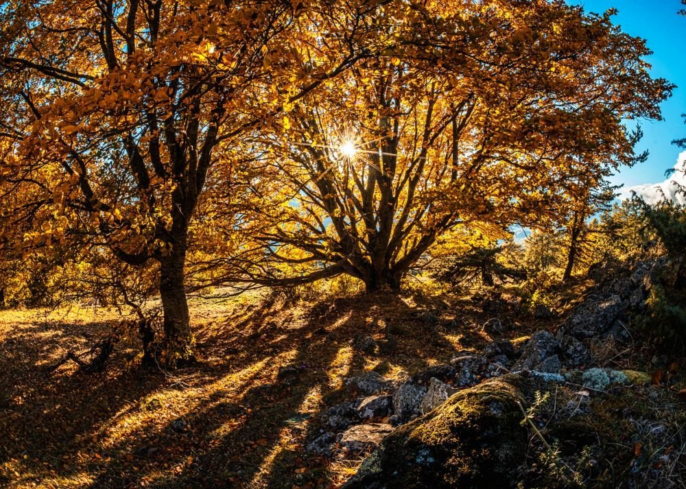 Lumières de l'automne dans le massif du Mercantour, en stage photo