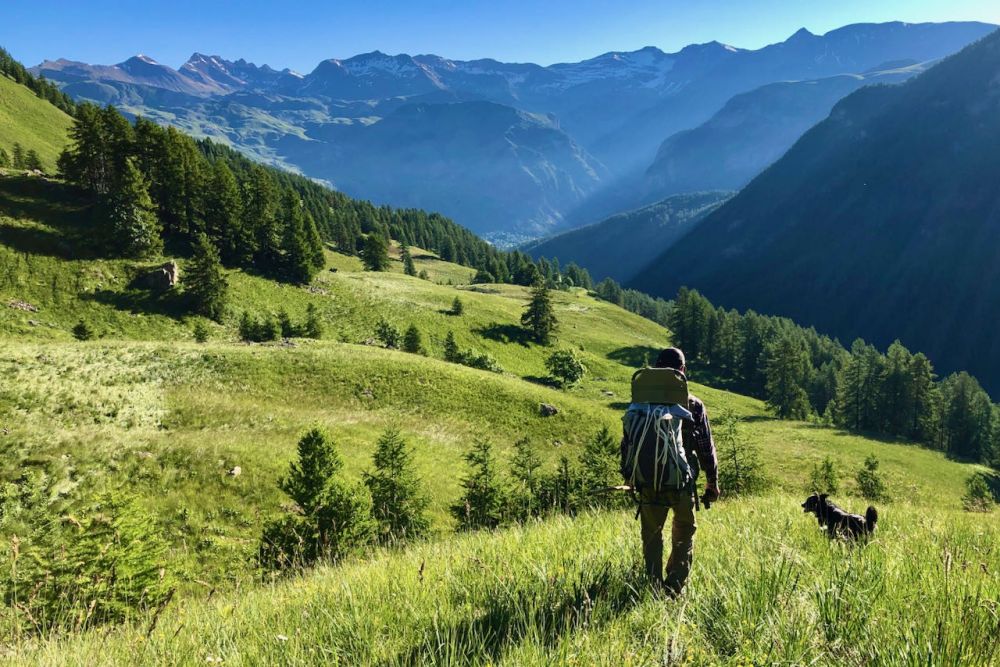 Le berger et son chien dans l'alpage