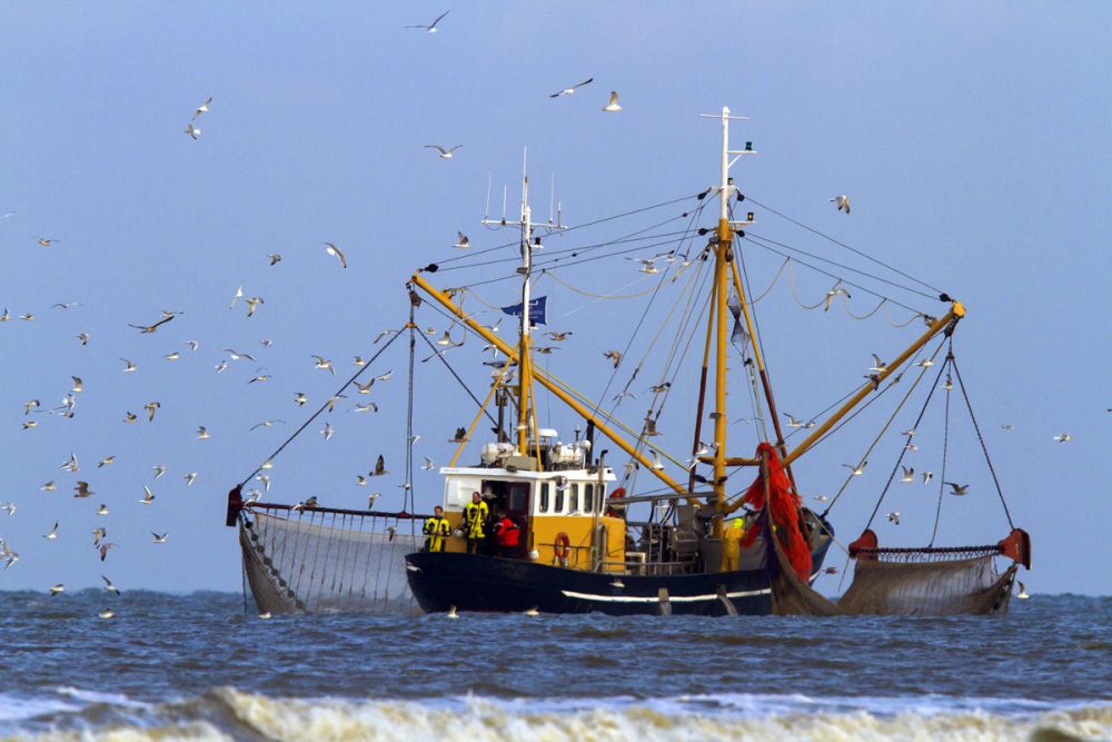 Bateau crevettier île Texel Pays-Bas