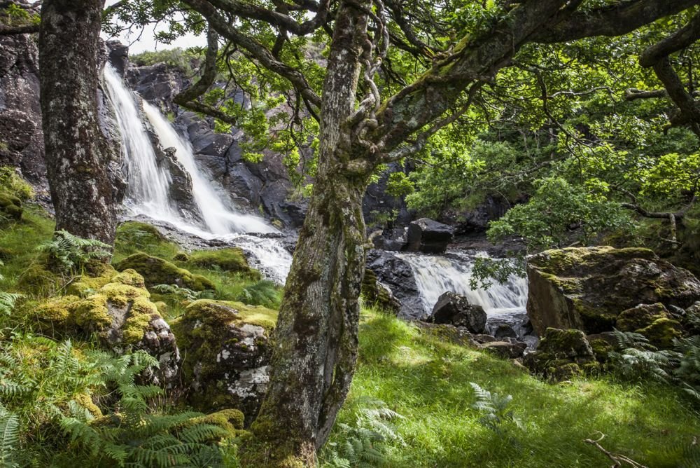 Cascade près de Lagganulva Mull Ecosse