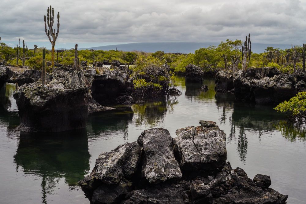 Photo voyage Equateur 17