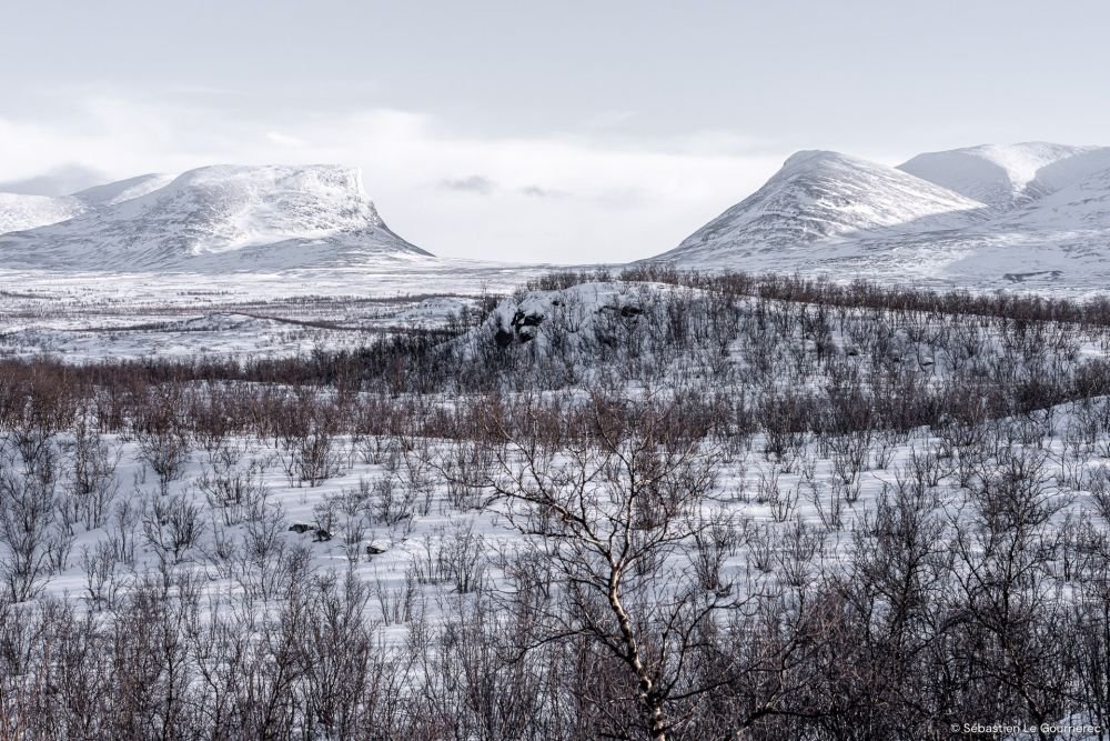 Abisko