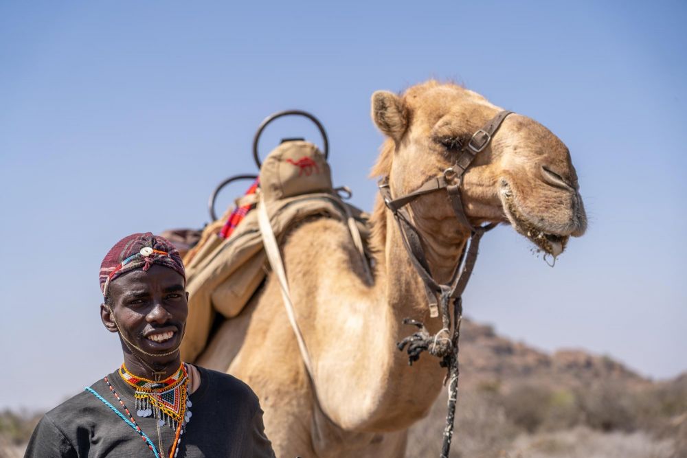 Chamelier à Tumaren Nord Kenya