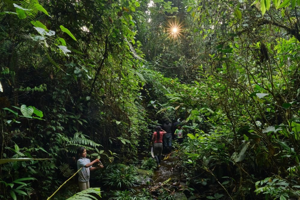 L'ambiance est extraordinaire dans la jungle