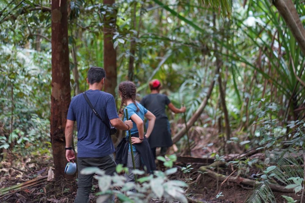 trek dans la jungle de Siberut