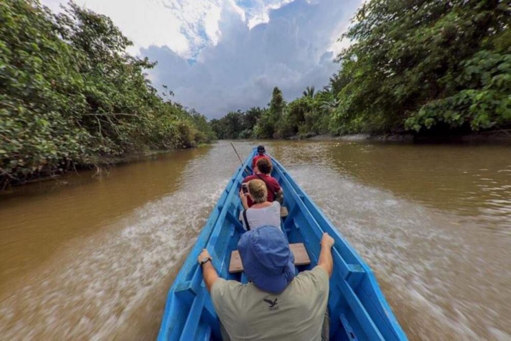 pirogue dans la jungle de Siberut