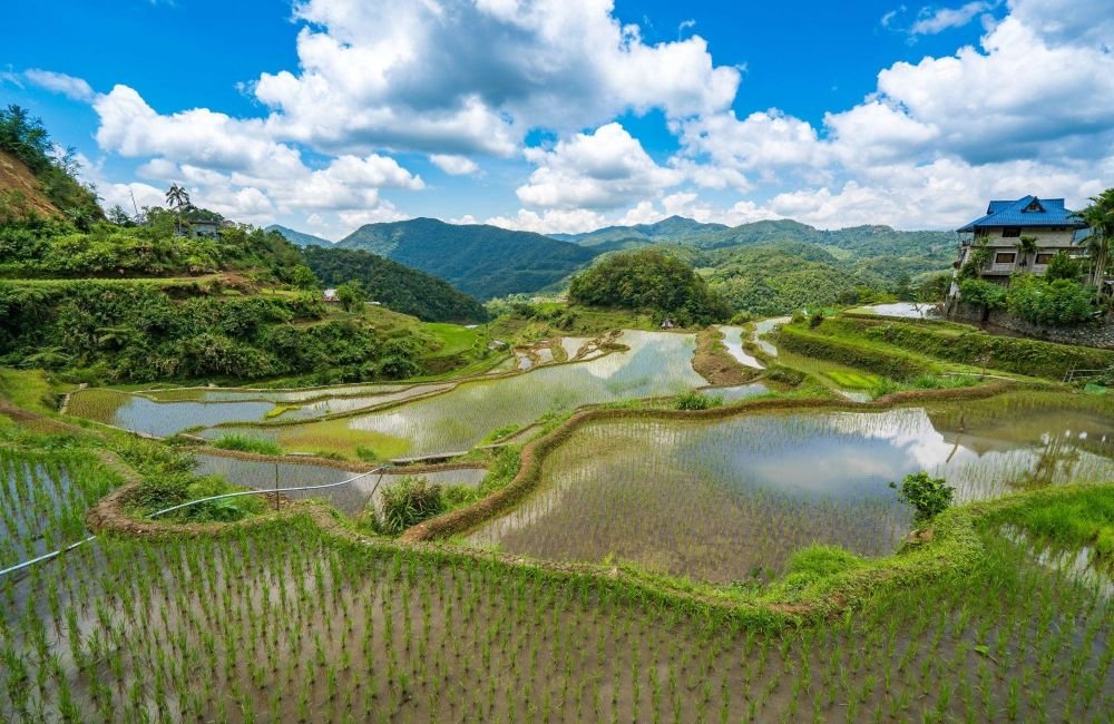 village Ifugao - région de Batad