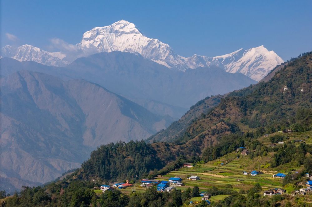 Le Daulaghiri domine le beau village de Swanta et ses rizières, au Népal