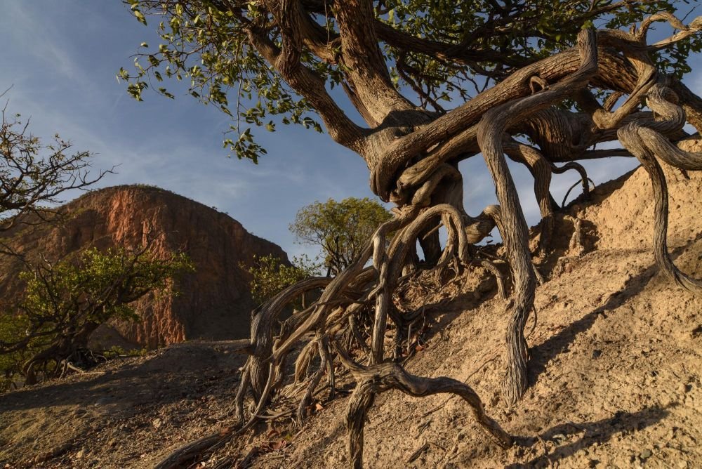 Photo voyage Namibie 19