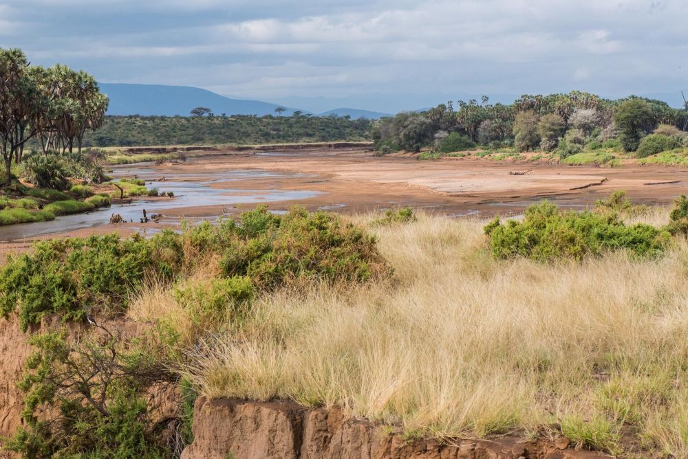 Safari dans la réserve nationale de Samburu