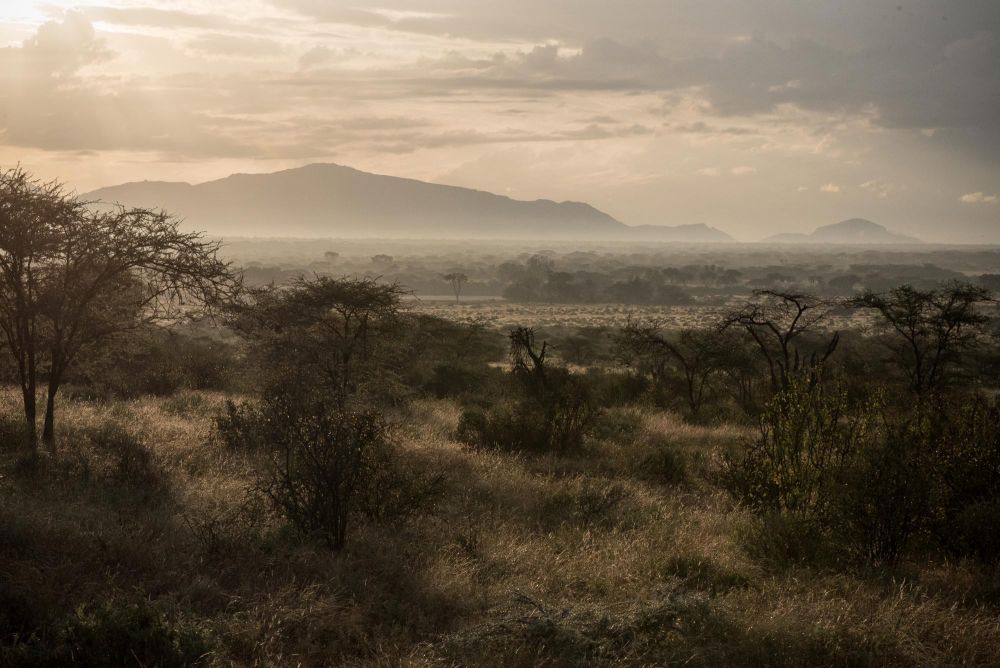 Safari Samburu