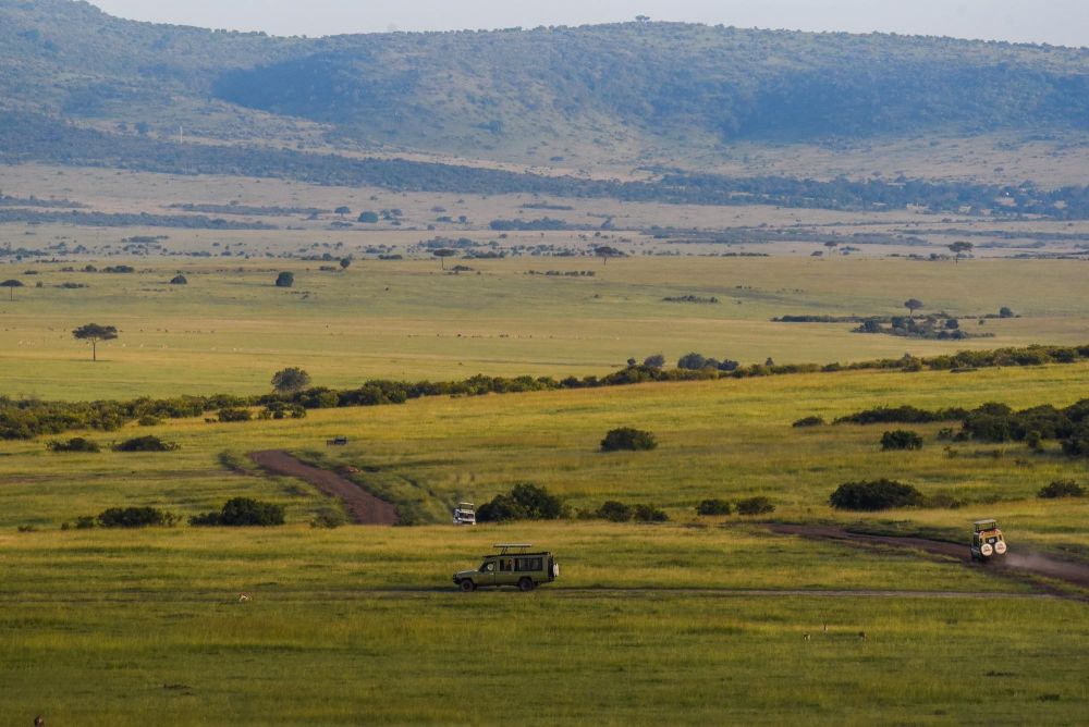 safari Maasai Mara