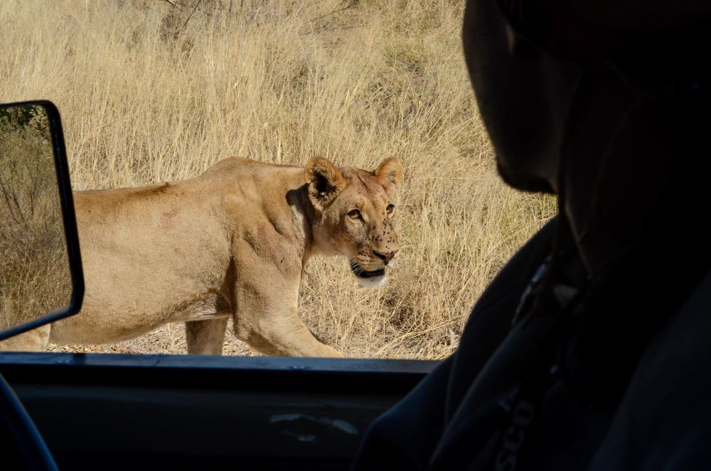 Photo voyage Namibie 17