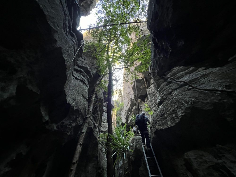 Parc national des Tsingy