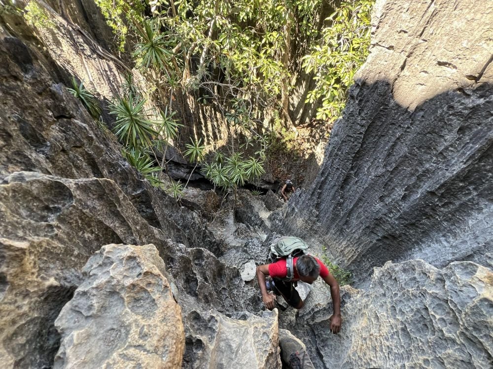 Parc national des Tsingy. Circuit grand Tsingy.