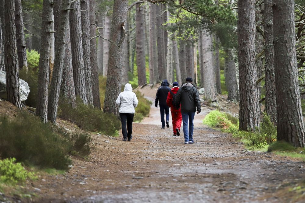 Cairngorms