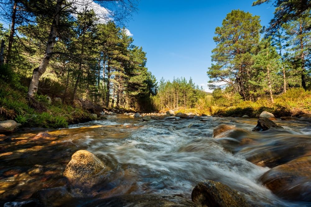 Cairngorms