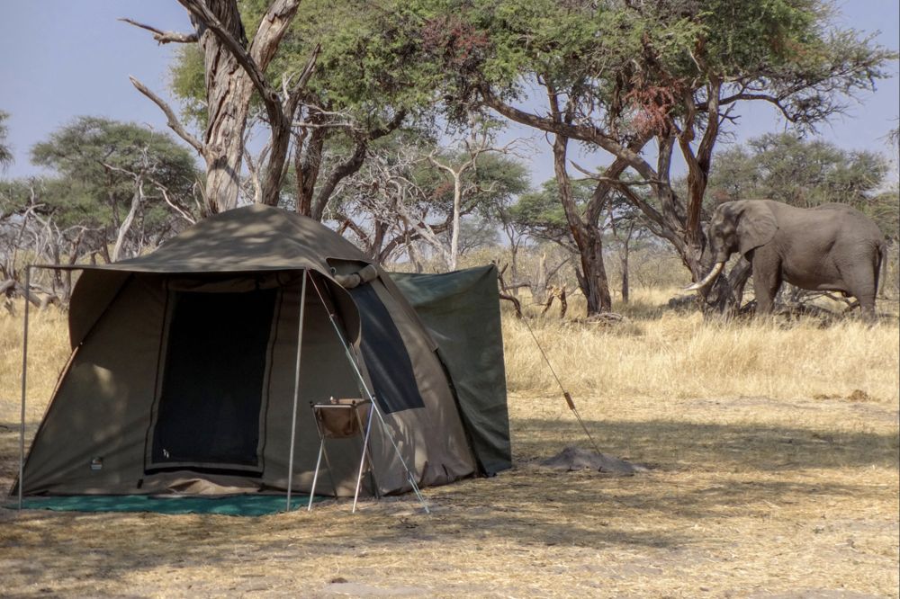 Camp de brousse tente avec lits de camp et salle de bain en suite