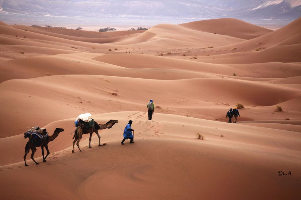 Etendue du désert marocain du Drâa lors d'un trek à chameau