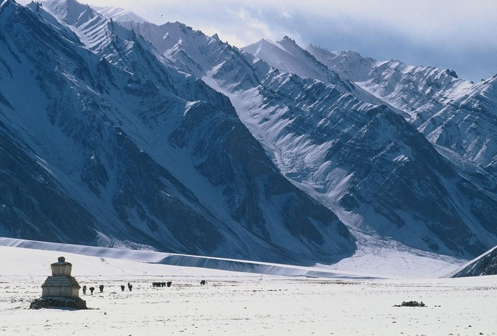 enfants ladakhi au haut d'un petit mur