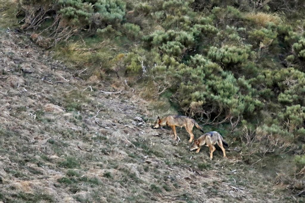 maison perdu dans une vallée en montagne