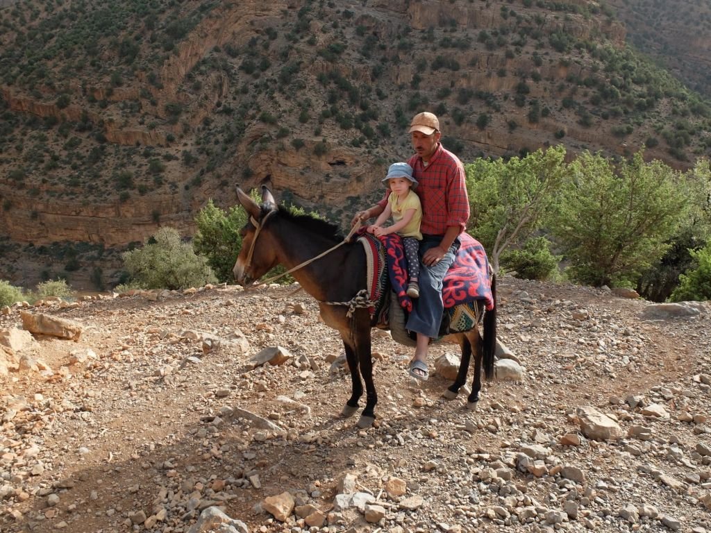 enfants sur le dos d'une mule